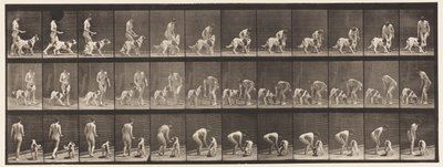 Talíř 449. Krmení psa od Eadweard Muybridge