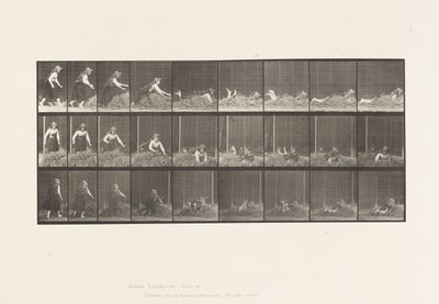 Plate 455. Házení sebe sama na hromadu sena od Eadweard Muybridge