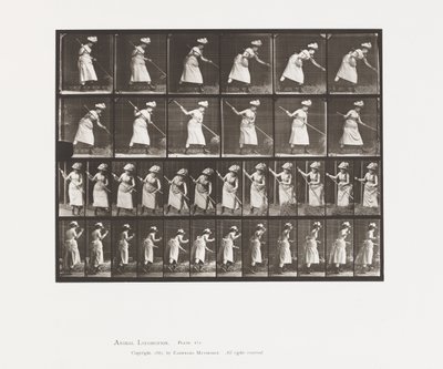 Talíř 456. Hrabat seno, 1885 od Eadweard Muybridge
