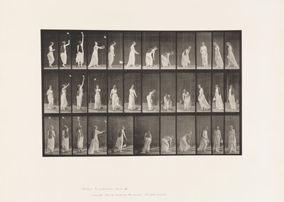 Talíř 463. Natahovat se, sklánět se a otáčet se, 1885 od Eadweard Muybridge