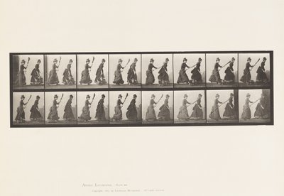 Talíř 464. Dva modely, 16 Chasing 4 s koštětem, 1885 od Eadweard Muybridge