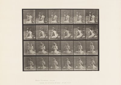 Talíř 466. Dva modely, Child 70N, Bringing Bouquet to 12, 1885 od Eadweard Muybridge