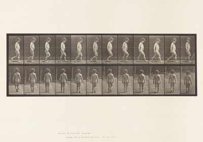 Talíř 467.Dítě, Chodící, 1885 od Eadweard Muybridge