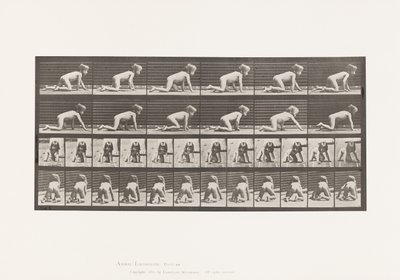 Talíř 471. Dítě, Plazení po rukou a kolenou, 1885 od Eadweard Muybridge