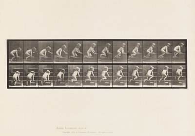 Talíř 472. Dítě, plazí se nahoru, 1885 (kolotypie na papíře) od Eadweard Muybridge