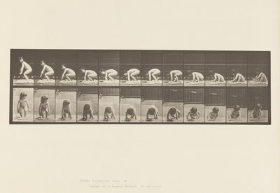 Talíř 479. Dítě, vstávání ze země od Eadweard Muybridge