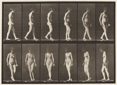 Talíř 47. Chůze a otáčení se od Eadweard Muybridge