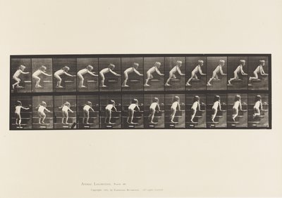 Talíř 480. Dítě, chůze a plazení po schodech od Eadweard Muybridge