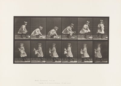 Talíř 481. Dítě, zvedání panenky, otáčení a odcházení, 1885 od Eadweard Muybridge