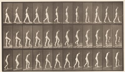 Talíř 482. A, Chůze; B, Vzestupné schody; C, Ascending Incline, 1872-1885 od Eadweard Muybridge