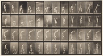 Talíř 488. A, Tenis na trávníku; B, Dumb Bells; C, Chůze po rukou;, 1872-1885 od Eadweard Muybridge