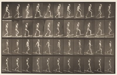 Deska 489. A, Ascending Incline;, 1872-1885 od Eadweard Muybridge