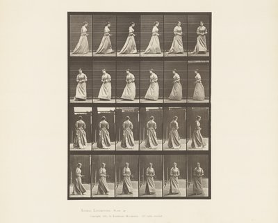 Talíř 48. Chůze a otáčení kytice v obou rukou, 1885 od Eadweard Muybridge