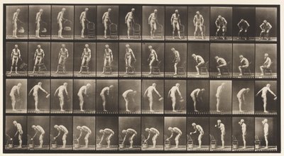 Talíř 490. A, Vsedě; B, vsedě; C, Kropení vodou od Eadweard Muybridge