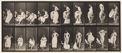 Talíř 498. Různé fáze záchodu, 1872-1885 od Eadweard Muybridge