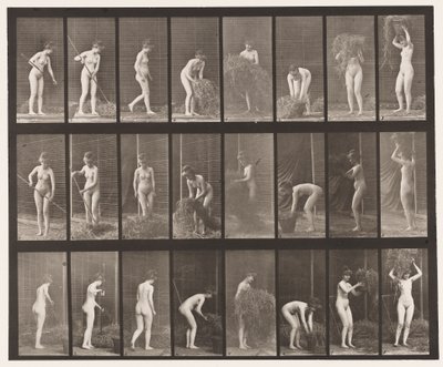 Talíř 499. Shrabování a balení sena, 1872-1885 od Eadweard Muybridge