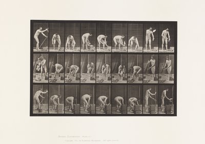 Talíř 505. Zednictví od Eadweard Muybridge
