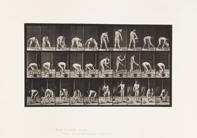 Talíř 506. Zednictví od Eadweard Muybridge