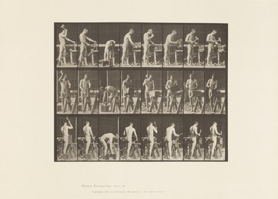 Talíř 507. Tesařství od Eadweard Muybridge