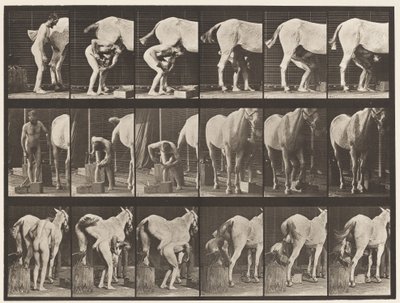 Talíř 509. Podkování koně od Eadweard Muybridge