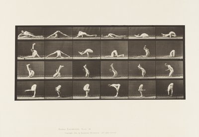 Talíř 510. Zkroucení na zemi, 1872-1885 od Eadweard Muybridge