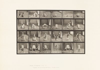 Talíř 511. Zkroucení na zemi od Eadweard Muybridge