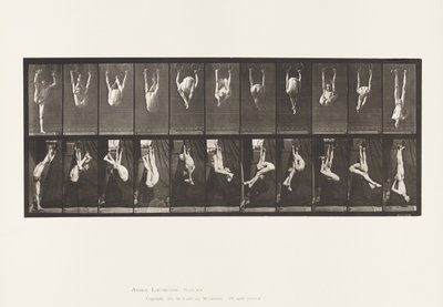 Talíř 512. Zkroucení na prstenech od Eadweard Muybridge