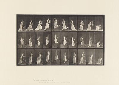 Talíř 515. Vzestupné a sestupné schody atd., 1885 od Eadweard Muybridge