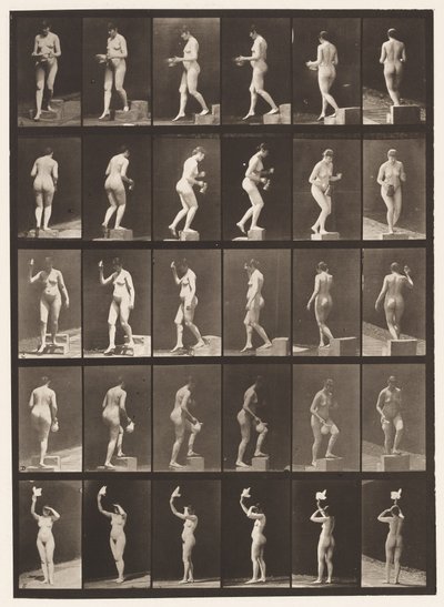 Deska 525. A, sestupný krok; B, Ascending Step;, 1872-1885 od Eadweard Muybridge