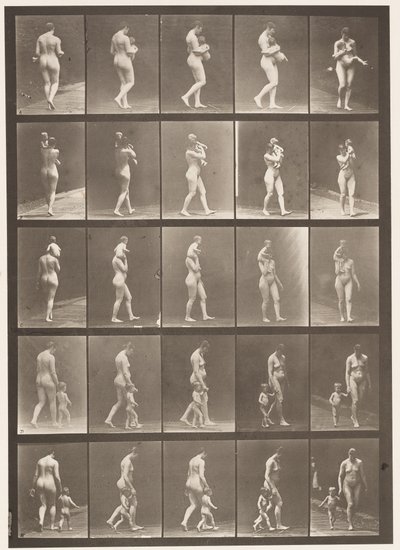 Deska 528. A,B,C od Eadweard Muybridge