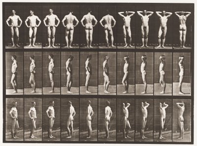 Talíř 530. Různé pózy od Eadweard Muybridge