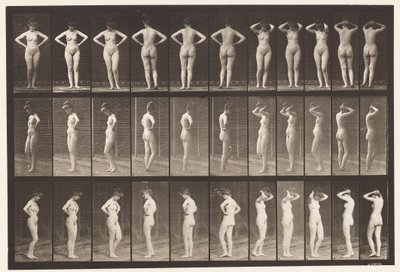Talíř 531. Různé pózy od Eadweard Muybridge