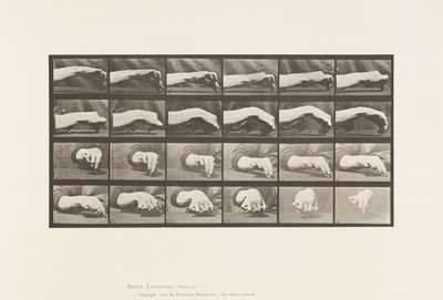 Talíř 532.Pohyb ruky; Kreslení kruhu, 1885 od Eadweard Muybridge