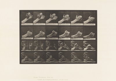 Talíř 533.Pohyb ruky; Spínající ruce, 1885 od Eadweard Muybridge
