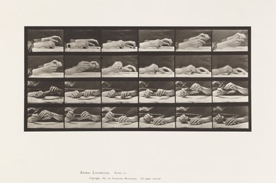 Talíř 536. Pohyb ruky; Ruce měnící tužka od Eadweard Muybridge