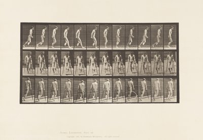 Dlaha 537. Jednoduchá amputace nohy; Poskakování s berlemi od Eadweard Muybridge