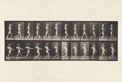 Talíř 540.A, Nohy smyčce; Chlapec; B, Spinální kaz; Dívka na procházce, 1885 od Eadweard Muybridge