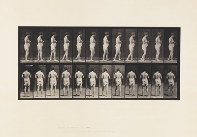 Talíř 542. Roztroušená mozkomíšní skleróza - Chůze od Eadweard Muybridge