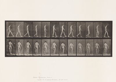 Deska 546.Lokomotorická ataxie; Chůze, 1885 od Eadweard Muybridge
