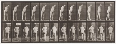 Talíř 547.Hemiplegie; Chůze s berlí, 1885 od Eadweard Muybridge