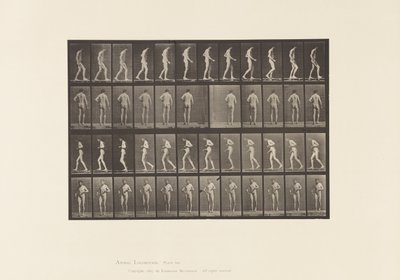 Talíř 548.Laterální skleróza; A,B, Chůze, 1885 od Eadweard Muybridge