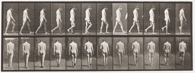 Talíř 549.Epilepsie; Chůze, 1885 od Eadweard Muybridge