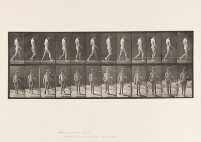 Talíř 551.Epilepsie; Chůze, 1885 od Eadweard Muybridge