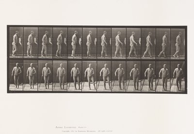 Talíř 552.Hemiplegie; Walking with Cane, 1885 od Eadweard Muybridge