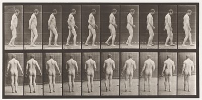 Talíř 553.Po traumatu hlavy; Chůze, 1885 od Eadweard Muybridge