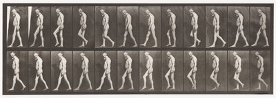 Plate 555. Svalová atrofie nohou; Dospělý, A, B, Chůze, 1885 od Eadweard Muybridge
