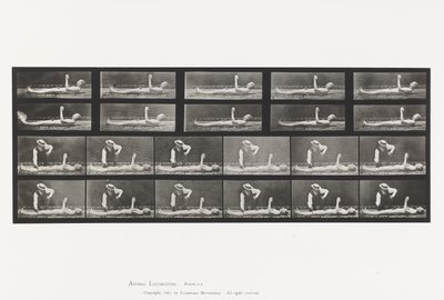 Talíř 556.Místní chorea; A, B, Při ležení od Eadweard Muybridge