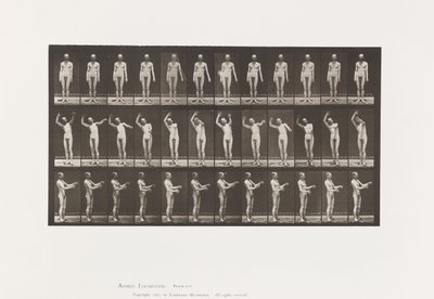 Talíř 557.Místní chorea; A, B, C, ve stoje, 1885 od Eadweard Muybridge