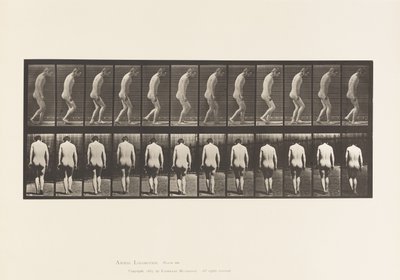 Talíř 558.Paraplegie; Částečný; Chůze, 1885 od Eadweard Muybridge