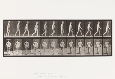 Talíř 562. Laterální zakřivení páteře; Chůze od Eadweard Muybridge